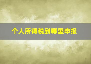 个人所得税到哪里申报