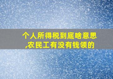 个人所得税到底啥意思,农民工有没有钱领的