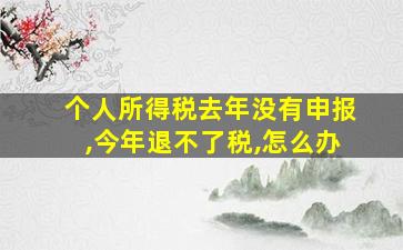 个人所得税去年没有申报,今年退不了税,怎么办