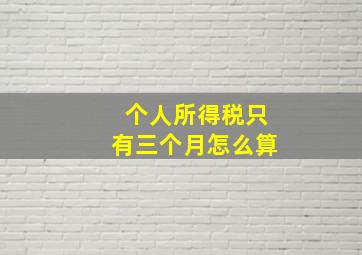 个人所得税只有三个月怎么算