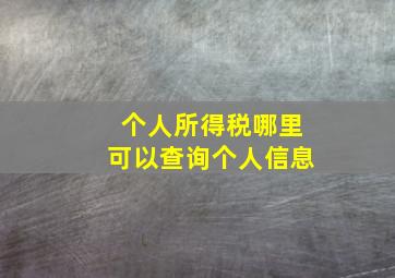 个人所得税哪里可以查询个人信息