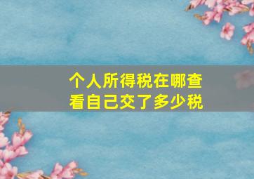 个人所得税在哪查看自己交了多少税