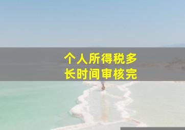 个人所得税多长时间审核完