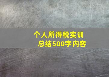 个人所得税实训总结500字内容