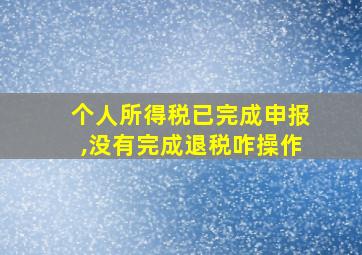 个人所得税已完成申报,没有完成退税咋操作