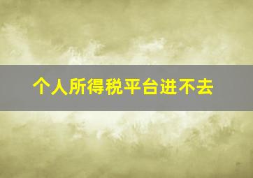 个人所得税平台进不去