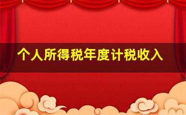 个人所得税年度计税收入