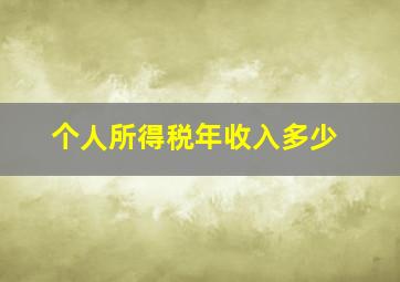 个人所得税年收入多少