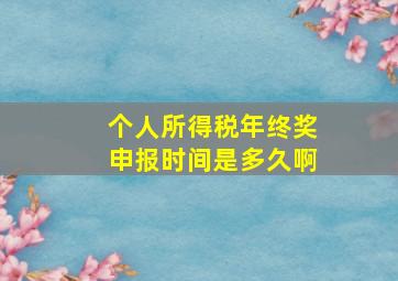 个人所得税年终奖申报时间是多久啊