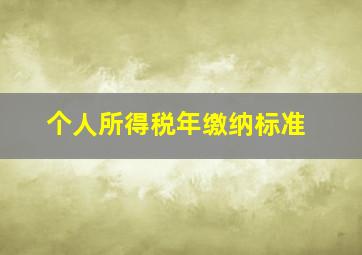 个人所得税年缴纳标准