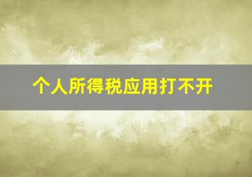 个人所得税应用打不开