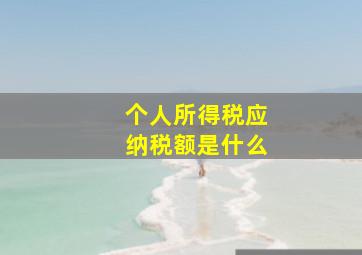 个人所得税应纳税额是什么