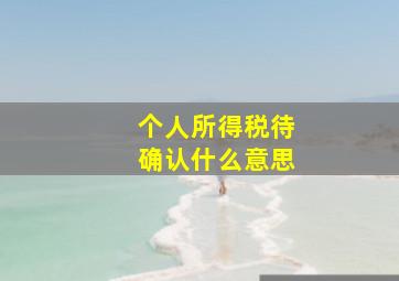 个人所得税待确认什么意思