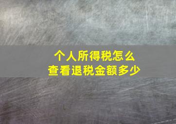 个人所得税怎么查看退税金额多少