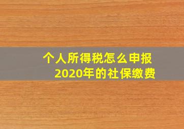 个人所得税怎么申报2020年的社保缴费