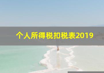 个人所得税扣税表2019