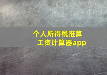 个人所得税推算工资计算器app