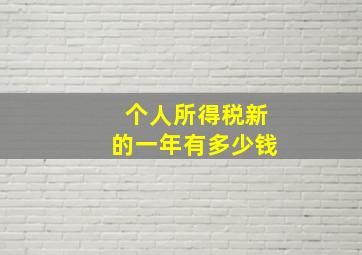 个人所得税新的一年有多少钱