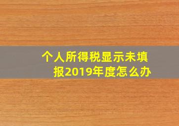 个人所得税显示未填报2019年度怎么办