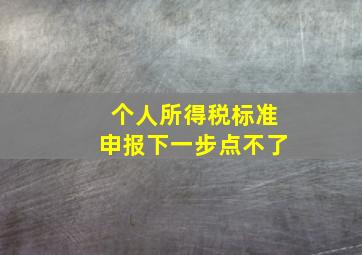 个人所得税标准申报下一步点不了