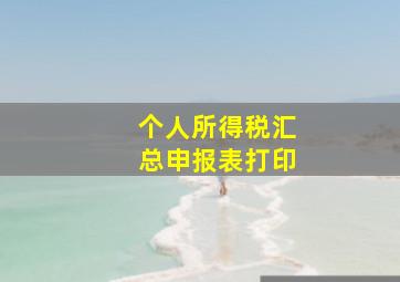 个人所得税汇总申报表打印