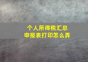 个人所得税汇总申报表打印怎么弄