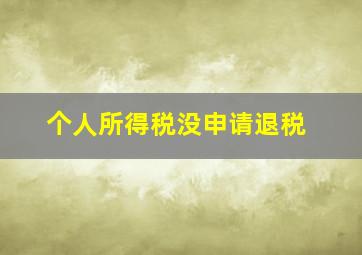 个人所得税没申请退税