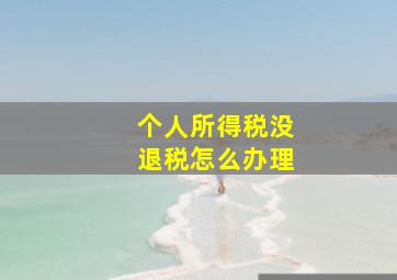 个人所得税没退税怎么办理