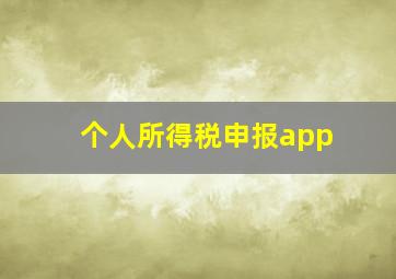 个人所得税申报app