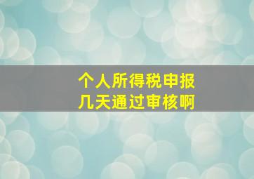 个人所得税申报几天通过审核啊