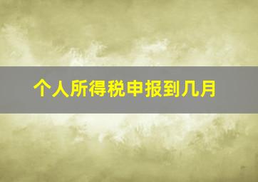 个人所得税申报到几月