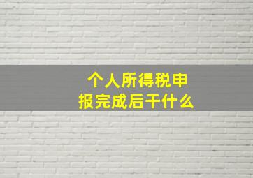 个人所得税申报完成后干什么