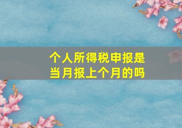 个人所得税申报是当月报上个月的吗