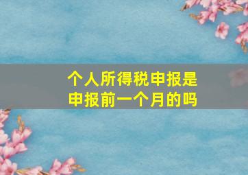 个人所得税申报是申报前一个月的吗