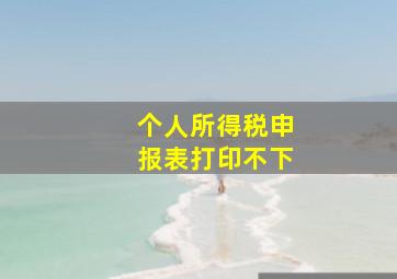 个人所得税申报表打印不下