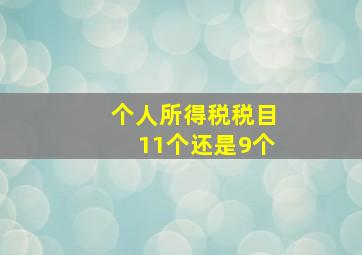 个人所得税税目11个还是9个