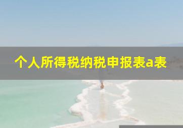 个人所得税纳税申报表a表