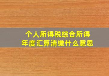 个人所得税综合所得年度汇算清缴什么意思