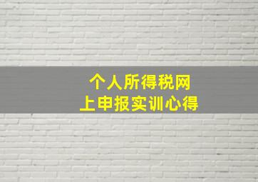 个人所得税网上申报实训心得