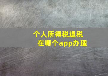 个人所得税退税在哪个app办理