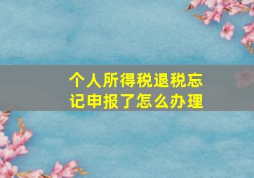 个人所得税退税忘记申报了怎么办理