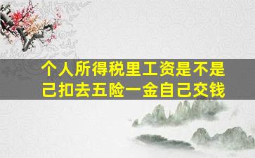 个人所得税里工资是不是己扣去五险一金自己交钱