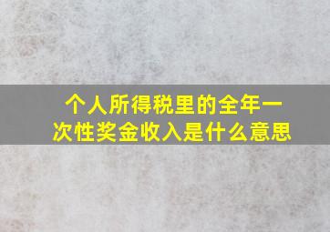 个人所得税里的全年一次性奖金收入是什么意思