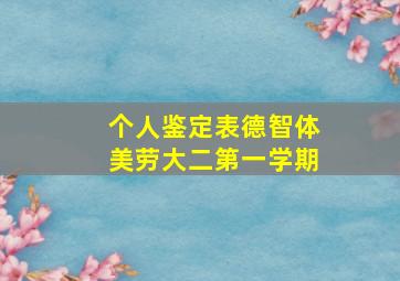 个人鉴定表德智体美劳大二第一学期