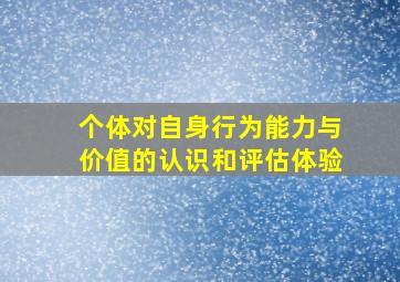 个体对自身行为能力与价值的认识和评估体验