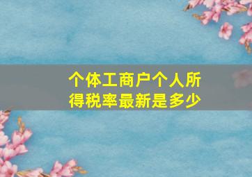 个体工商户个人所得税率最新是多少