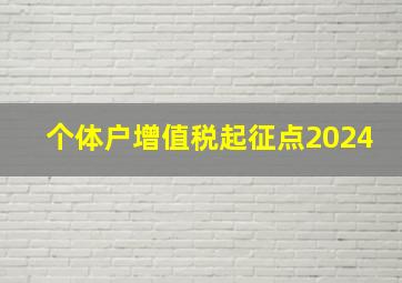 个体户增值税起征点2024