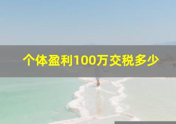 个体盈利100万交税多少