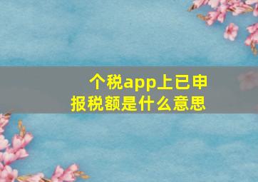 个税app上已申报税额是什么意思