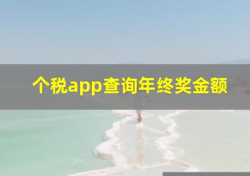 个税app查询年终奖金额